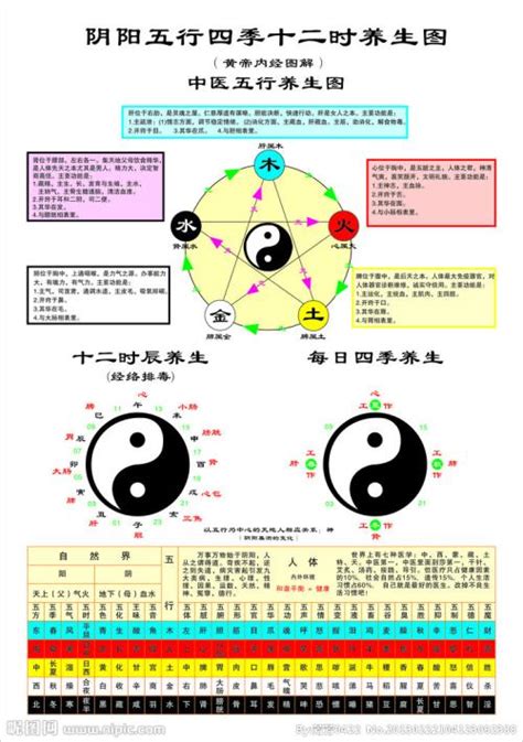 瑜五行|瑜的五行属性是什么